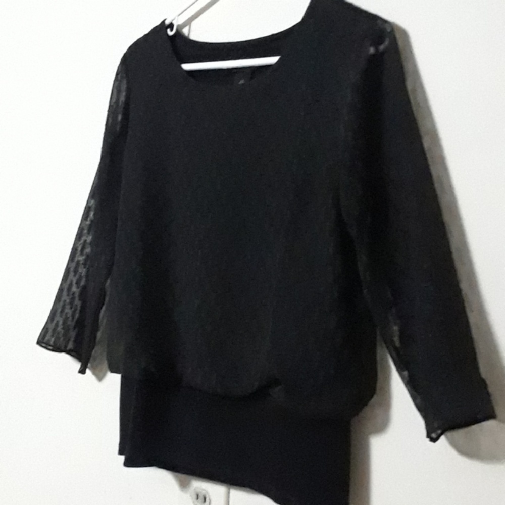 Sheer Blouse - image 2